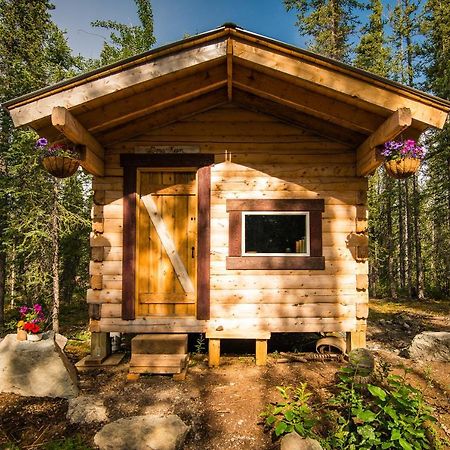 Blackburn Cabins - Mccarthy, Alaska 외부 사진
