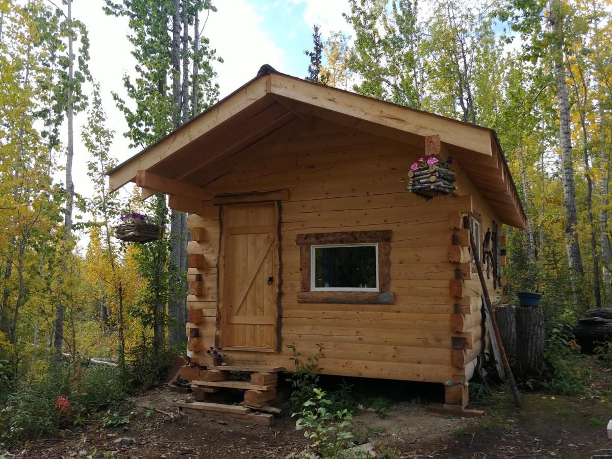 Blackburn Cabins - Mccarthy, Alaska 외부 사진