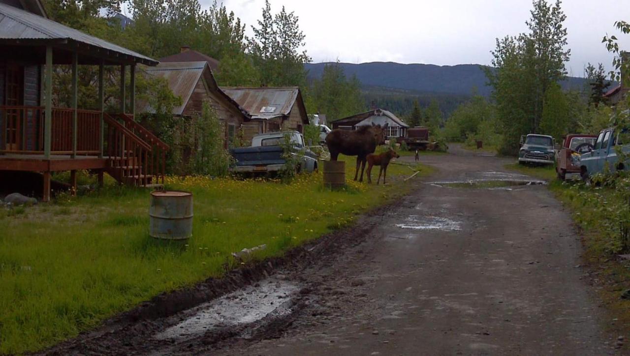 Blackburn Cabins - Mccarthy, Alaska 외부 사진
