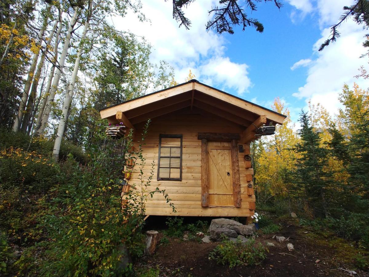 Blackburn Cabins - Mccarthy, Alaska 외부 사진