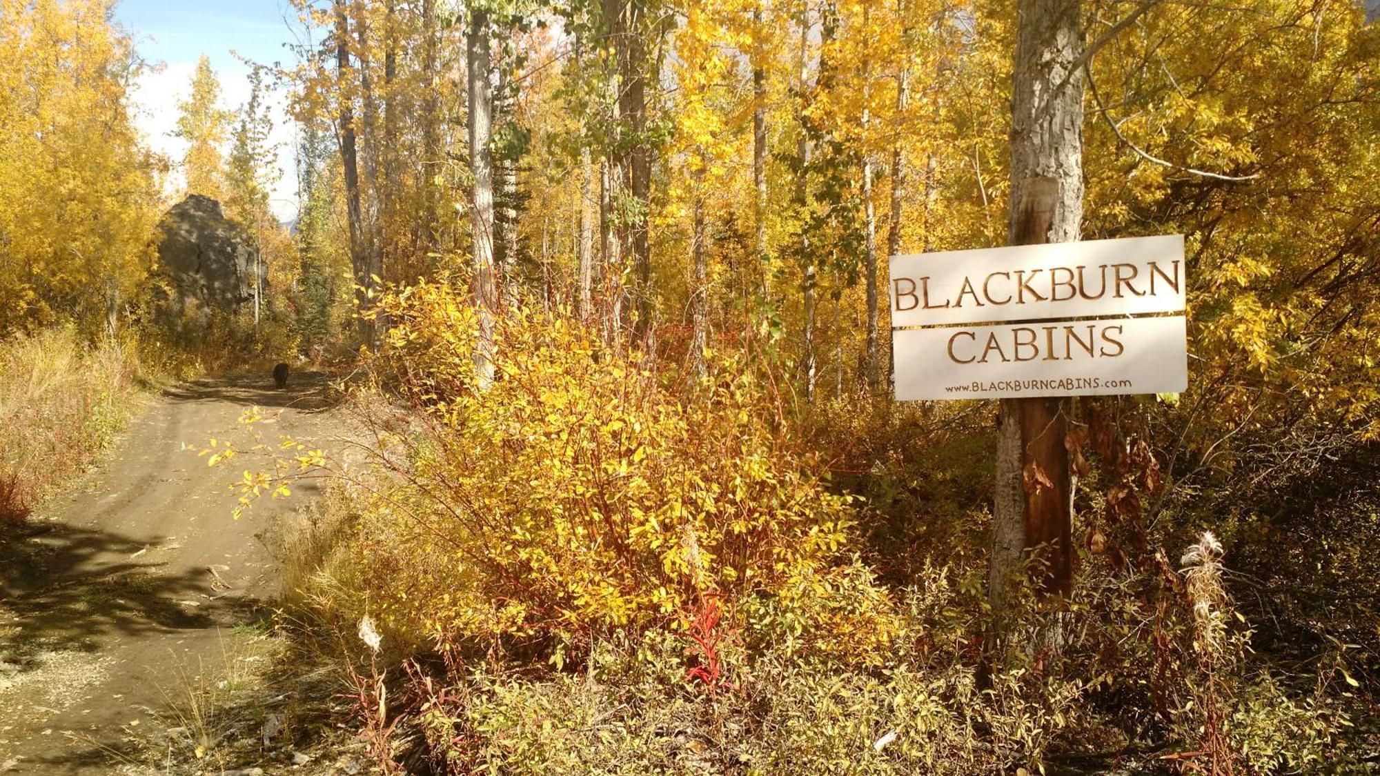 Blackburn Cabins - Mccarthy, Alaska 외부 사진